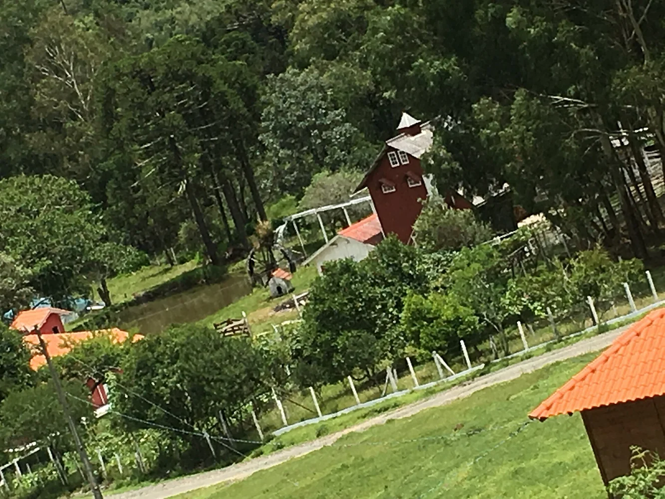 Casas e vegetação em área rural de Urubici, Santa Catarina