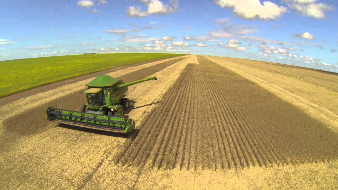 Lavoura de soja em Mato Grosso, em foto de arquivo de Marevarzeamt de 3/11/2015; não representa as condições atuais do plantio ou das chuvas.