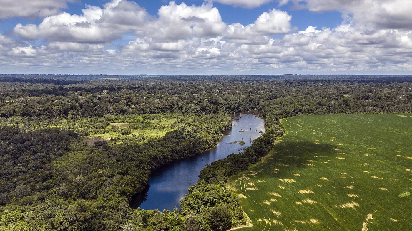 Registro de arquivo de Pará