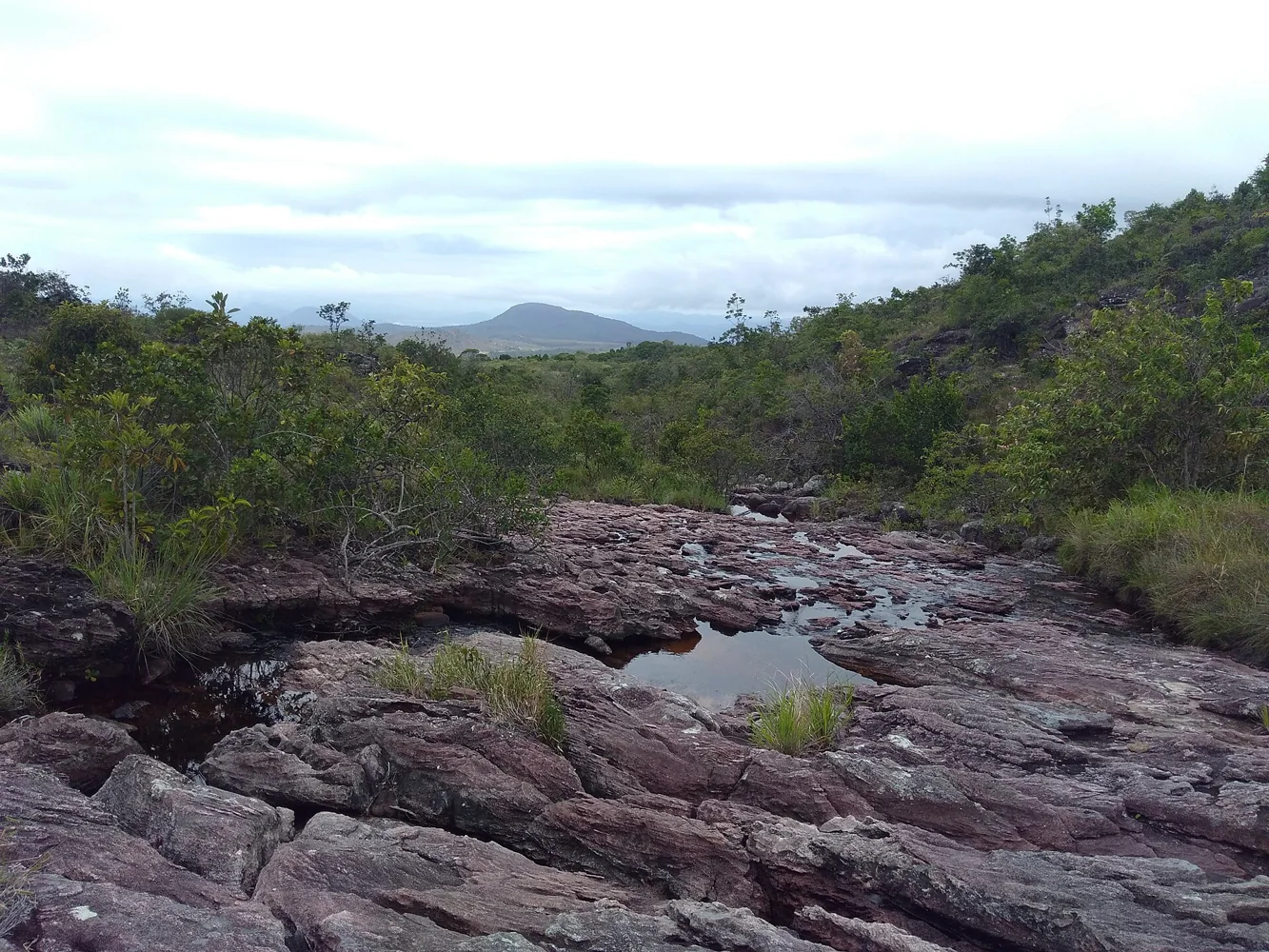 Paisagem da Floresta Nacional de Roraima, em janeiro de 2018. Foto de arquivo do estado; não mostra Caroebe, a reunião ou incêndios atuais.