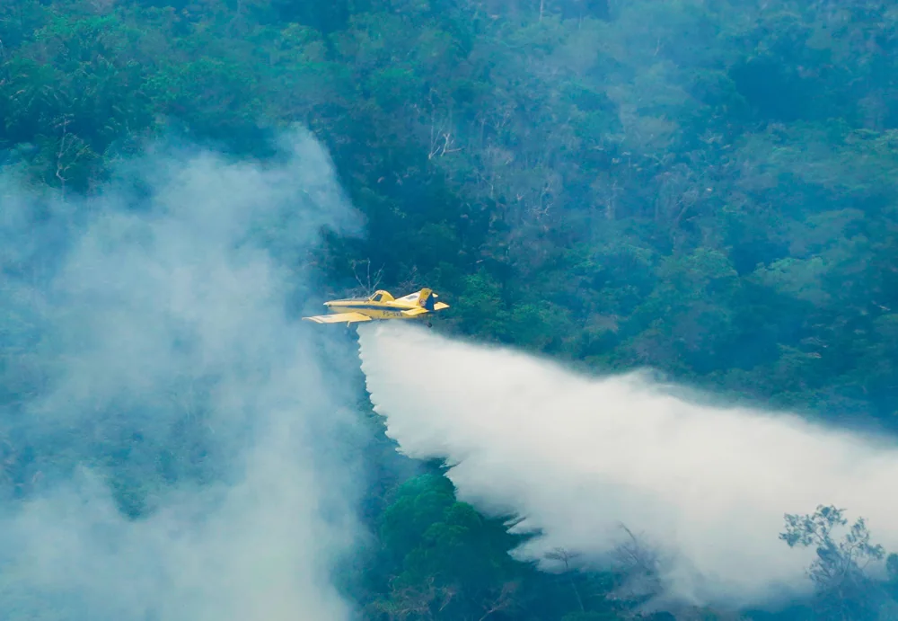 Imagem da fonte sobre Incêndios florestais