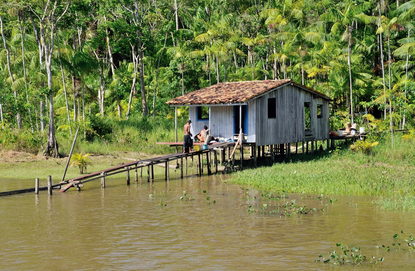 Foto de arquivo de ilha no Rio Guamá, ao sul de Belém (PA), em 2009; Cayambe.